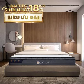 Nệm lò xo túi độc lập Amando Elite Plus giảm tiếng ồn dày 25cm