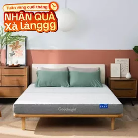 Nệm foam Goodnight Hachi giảm áp lực dày 15cm