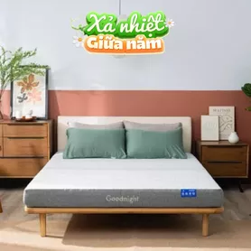 Nệm foam Goodnight Hachi giảm áp lực dày 15cm