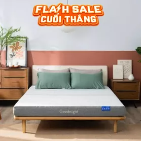 Nệm foam Goodnight Hachi giảm áp lực dày 15cm