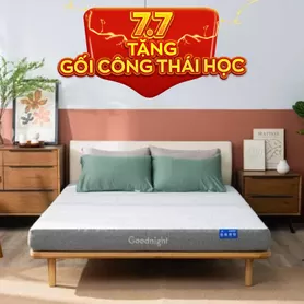 Nệm foam Goodnight Hachi giảm áp lực dày 15cm