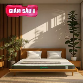Nệm cao su thiên nhiên Gummi Premium detox giấc ngủ dày 10cm