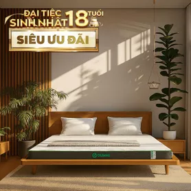Nệm cao su thiên nhiên Gummi Premium detox giấc ngủ dày 10cm