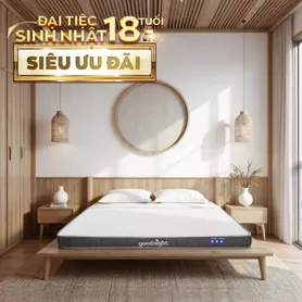 Nệm cao su đa tầng Goodnight Latex Hybrid (Rena) vững chắc, thông thoáng dày 10cm
