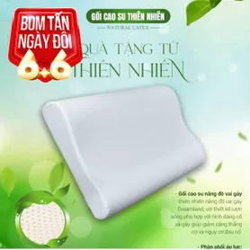 Gối Cao su Dreamland nâng đỡ vai gáy