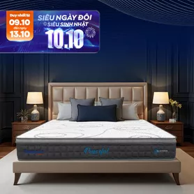 [Mới - Độc quyền] Nệm lò xo túi độc lập 3 vùng Dunlopillo de.Stress Powerful