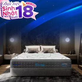 [Mới - Độc quyền] Nệm lò xo song song công nghệ cách ly chuyển động Dunlopillo de.Stress Energy
