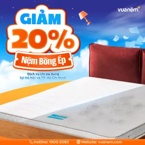 Dịch vụ vệ sinh nệm bông ép