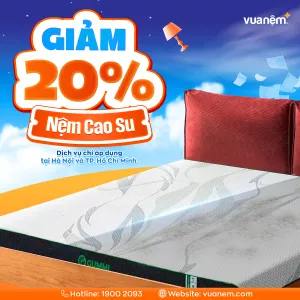 Dịch vụ vệ sinh nệm cao su