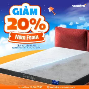 Dịch vụ vệ sinh nệm foam