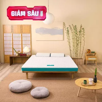 Nệm foam Nhật Bản Aeroflow Standard nâng đỡ cơ thể dày 12cm