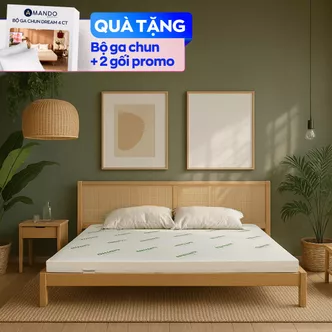 Nệm cao su thiên nhiên Gummi Classic thế hệ mới dày 5/10/15cm