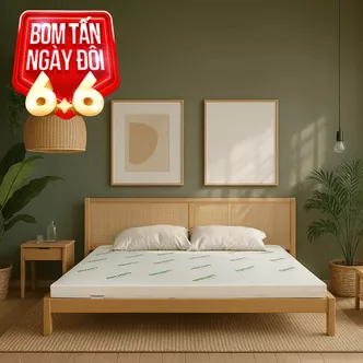 Nệm cao su thiên nhiên Gummi Classic thế hệ mới dày 5/10/15cm