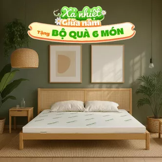 Nệm cao su thiên nhiên Gummi Classic thế hệ mới dày 5/10/15cm