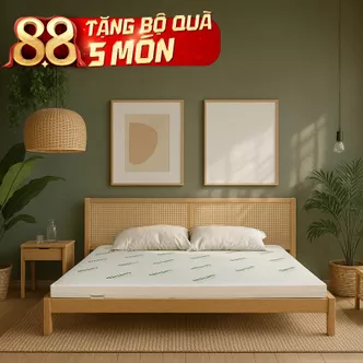 Nệm cao su thiên nhiên Gummi Classic thế hệ mới dày 5/10/15cm