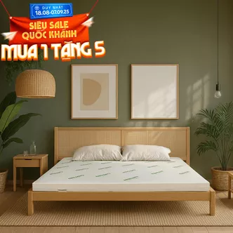 Nệm cao su thiên nhiên Gummi Classic thế hệ mới dày 5/10/15cm