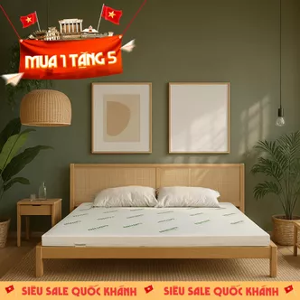 Nệm cao su thiên nhiên Gummi Classic thế hệ mới dày 5/10/15cm
