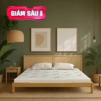 Nệm cao su thiên nhiên Gummi Classic thế hệ mới dày 5/10/15cm