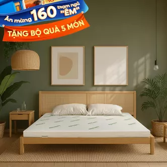 Nệm cao su thiên nhiên Gummi Classic thế hệ mới dày 5/10/15cm