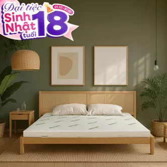 Nệm cao su thiên nhiên Gummi Classic thế hệ mới dày 5/10/15cm