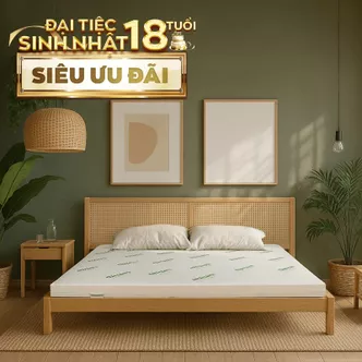 Nệm cao su thiên nhiên Gummi Classic thế hệ mới dày 5/10/15cm