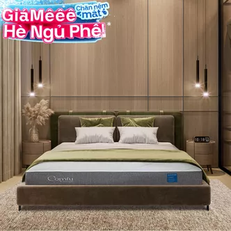 Nệm foam Comfy Cloud 2.0 siêu đàn hồi dày 15cm