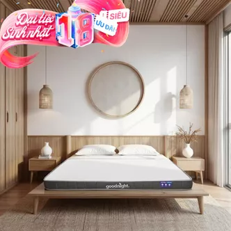 Nệm cao su đa tầng Goodnight Latex Hybrid (Rena) vững chắc, thông thoáng dày 10cm