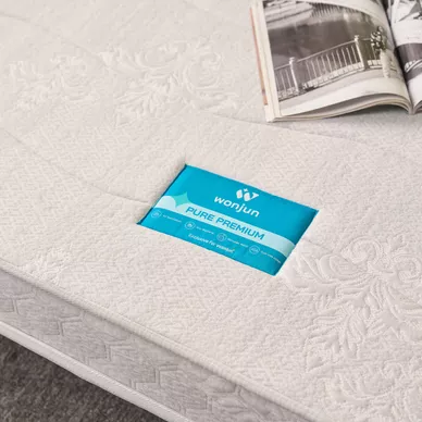 Combo Nệm chào hè: 01 đệm Wonjun, 02 gối Microfiber, 01 bộ ga chun Rina/Chiếu điều hòa Aqua - Ảnh 5