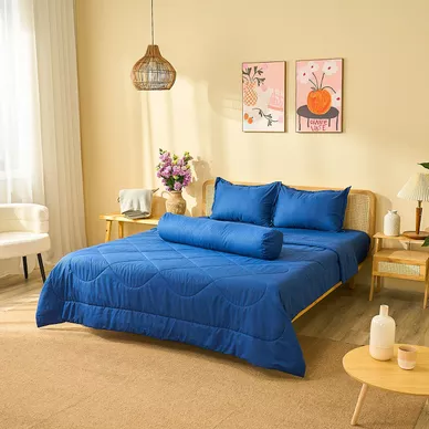 Combo Nệm chào hè: 01 đệm Wonjun, 02 gối Microfiber, 01 bộ ga chun Rina/Chiếu điều hòa Aqua - Ảnh 9