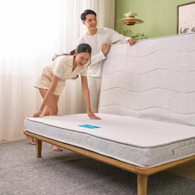 Combo Nệm chào hè: 01 đệm Wonjun, 02 gối Microfiber, 01 bộ ga chun Rina/Chiếu điều hòa Aqua - Ảnh 4