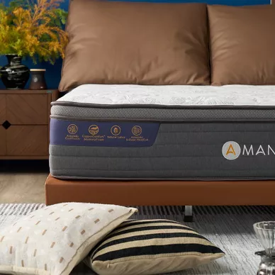 Combo Lò xo điều hòa: 01 Đệm Elite Grand, 01 Bộ Ga chun Bliss, 02 gối foam - Ảnh 4