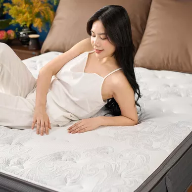 Combo Lò xo điều hòa: 01 Đệm Elite Grand, 01 Bộ Ga chun Bliss, 02 gối foam - Ảnh 8