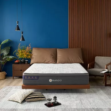Combo Lò xo điều hòa: 01 Đệm Elite Grand, 01 Bộ Ga chun Bliss, 02 gối foam - Ảnh 3