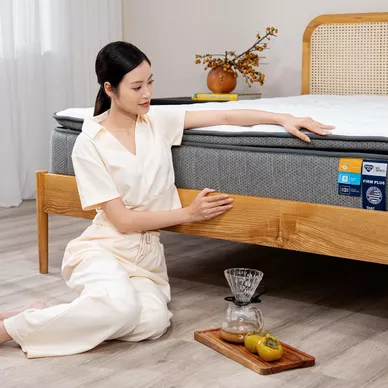 Combo Lò xo làm mát: 01 Đệm Spring Air Firm Plus, 01 bộ Élan/Lagom, 02 gối Nami - Ảnh 8