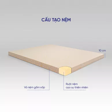 Nệm cao su Kim Cương Happy Gold dày 5/10/15cm - Ảnh 4