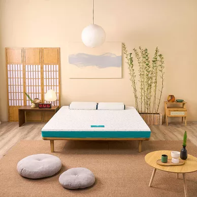 Nệm foam Nhật Bản Aeroflow Standard nâng đỡ cơ thể dày 12cm - Ảnh 3