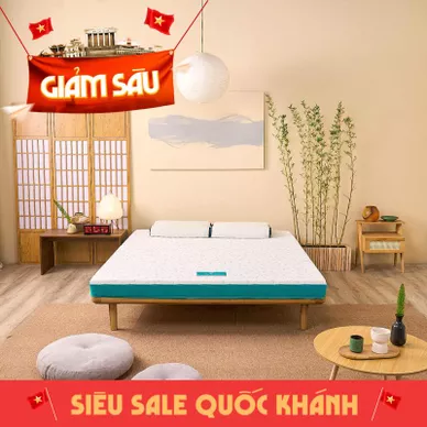 Nệm foam Nhật Bản Aeroflow Standard nâng đỡ cơ thể dày 12cm - Ảnh 2
