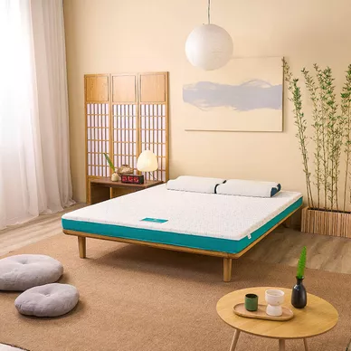 Nệm foam Nhật Bản Aeroflow Standard nâng đỡ cơ thể dày 12cm - Ảnh 3