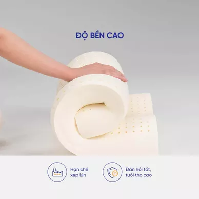 Gối Cao Su Liên Á Contour - Ảnh 8