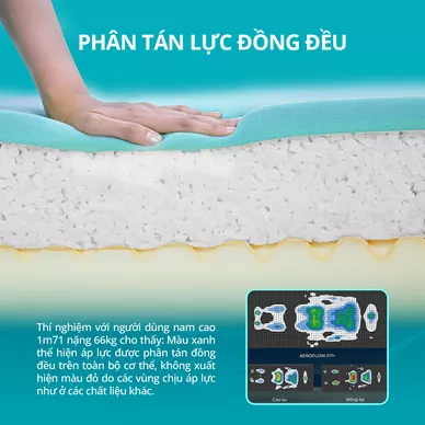 Nệm foam Nhật Bản Aeroflow Fit Plus kháng khuẩn dày 20cm - Ảnh 6
