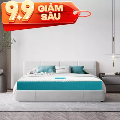 Nệm foam Nhật Bản Aeroflow Fit Plus kháng khuẩn dày 20cm - Ảnh 2