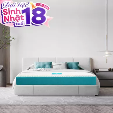 Nệm foam Nhật Bản Aeroflow Fit Plus kháng khuẩn dày 20cm - Ảnh 2