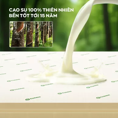 Nệm cao su thiên nhiên Gummi Classic thế hệ mới dày 5/10/15cm - Ảnh 8