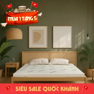 Nệm cao su thiên nhiên Gummi Classic thế hệ mới dày 5/10/15cm - Ảnh 2