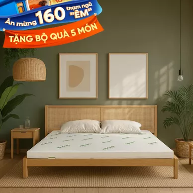 Nệm cao su thiên nhiên Gummi Classic thế hệ mới dày 5/10/15cm - Ảnh 2