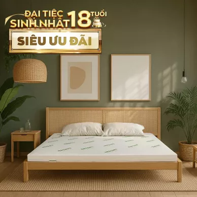 Nệm cao su thiên nhiên Gummi Classic thế hệ mới dày 5/10/15cm - Ảnh 2