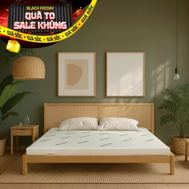 Nệm cao su thiên nhiên Gummi Classic thế hệ mới dày 5/10/15cm - Ảnh 2