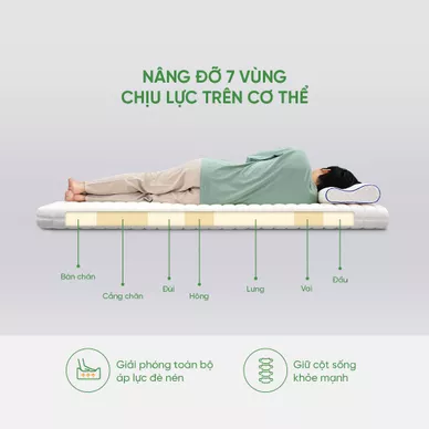 Nệm cao su Gummi 7zones nhập khẩu dày 12cm - Ảnh 4