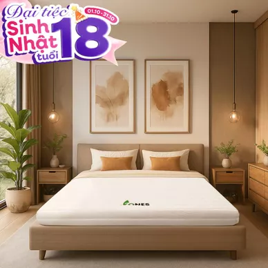 Nệm cao su Gummi 7zones nhập khẩu dày 12cm - Ảnh 2