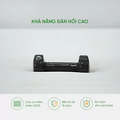 Nệm cao su Gummi 7zones nhập khẩu dày 12cm - Ảnh 7